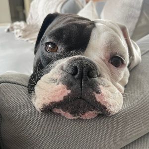 Meet your Posher, Kaitlin